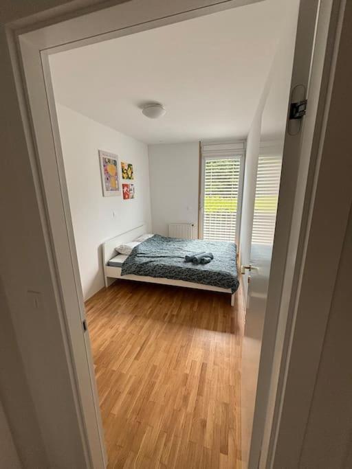 Apartment Dreamy Nature Near City-family Friendly, Free Parking *